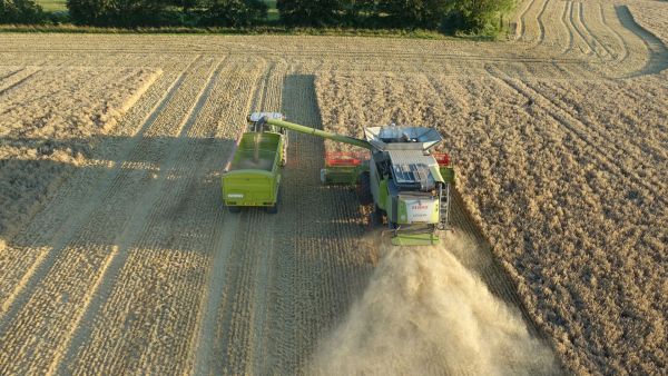 Exploring Cutting-Edge AI Breakthroughs Transforming Agricultural Tech in the UK